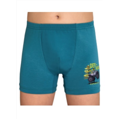 Трусы для мальчика Berrak