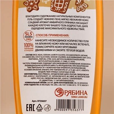 Подарочный набор «Мечты сбудутся», гель для душа и шампунь для волос, 2×250 мл, URAL LAB
