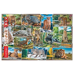 Пазлы 1000 "Дикие кошки"
