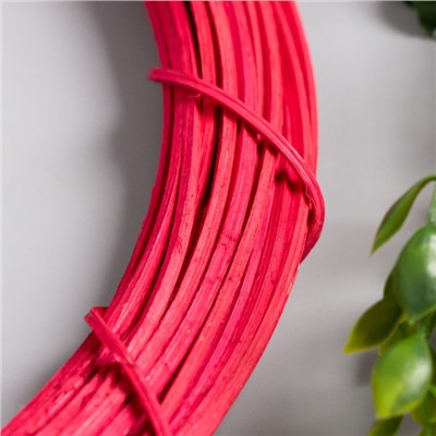 Кольцо ротанг для изготовления ловца снов «Фуксия», d=30 см