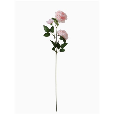 Цветы искусственные «Роза терция», 8×60 см, розовые