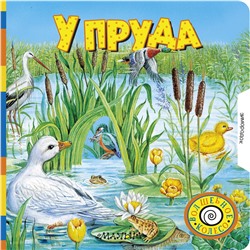 АСТ . "У пруда"