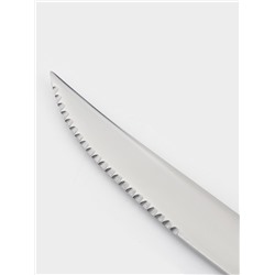 Нож для стейка Magistro «Эми», длина 23 см, нержавеющая сталь, серебристый