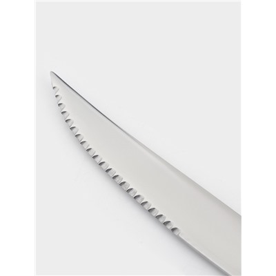 Нож для стейка Magistro «Эми», длина 23 см, нержавеющая сталь, серебристый