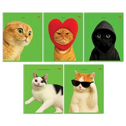 Тетрадь  48л клетка "Во как!" выб.лак 06841 BG