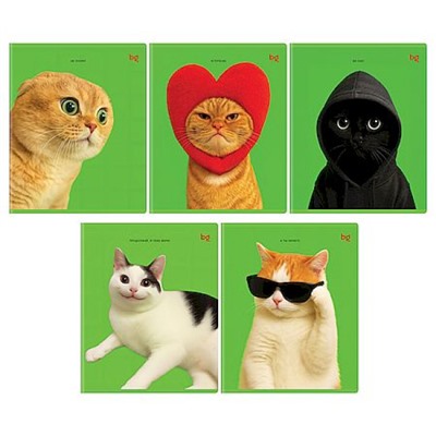 Тетрадь  48л клетка "Во как!" выб.лак 06841 BG