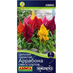 1864A Целозия перистая Аррабона, смесь сортов 7шт