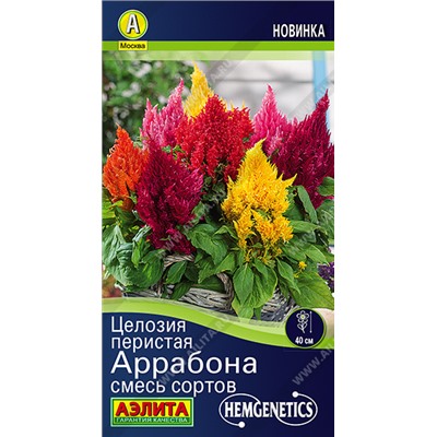 1864A Целозия перистая Аррабона, смесь сортов 7шт