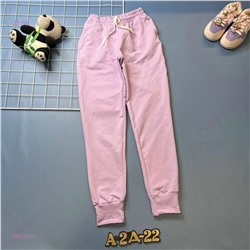 Штаны 1981334-2