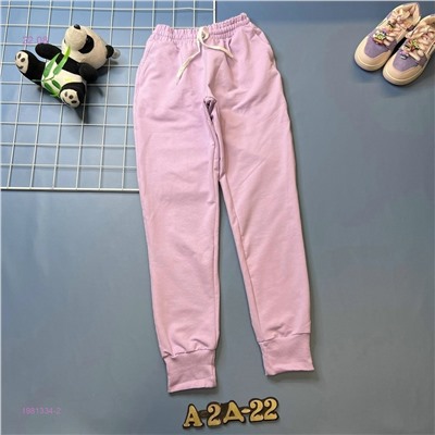 Штаны 1981334-2