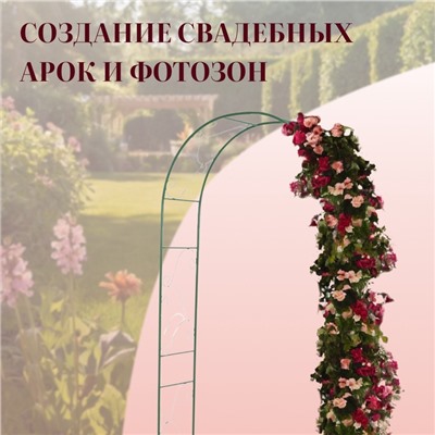 Арка садовая, 240×120×36 см, для вьющихся растений, металлическая, зелёная, «Вьюнок»
