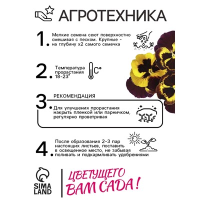 Семена Виола "Барон Махагон", ц/п,  F1, 5 шт.