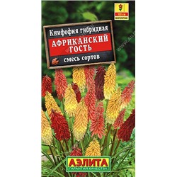 Книфофия Африканский гость смесь окрасок (Аэлита)