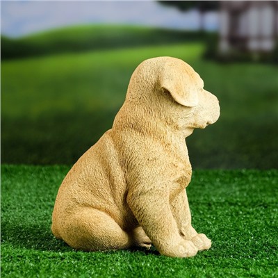 Садовая фигура из полистоуна «Щенок лабрадора», 17×12×20 см
