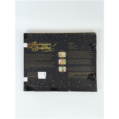 УЦЕНКА Алмазная вышивка с полным заполнением «Приключения в Париже» 40×50 см, на раме