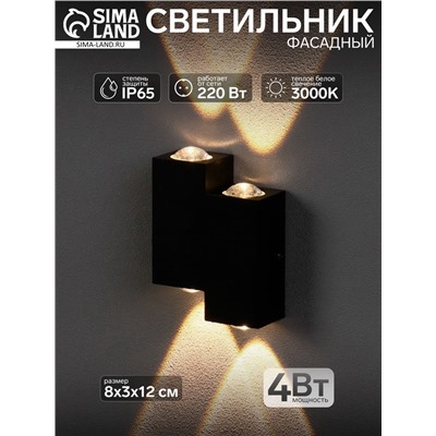 Светильник фасадный «Луч», 4 Вт, 3000К, 2 луча, IP65, 220 В, металлический корпус, чёрный, свечение тёплое белое