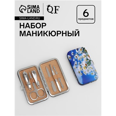 Набор маникюрный, 6 предметов, в футляре, разноцветный
