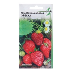 Семена Земляника садовая «Фреска», 30 шт., «Дом семян»