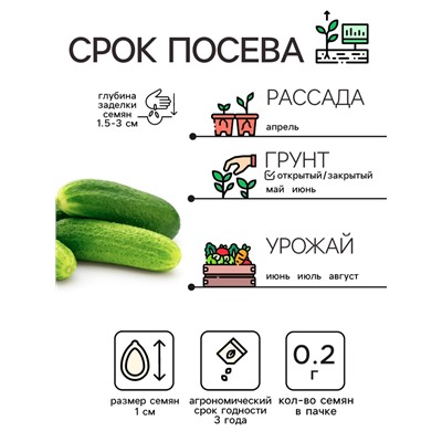 Семена Огурец "Бочковой", 0,2 г