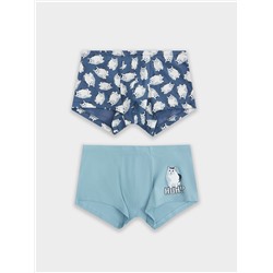 ТРУСЫ МУЖСКИЕ (2ШТ) 411216-2