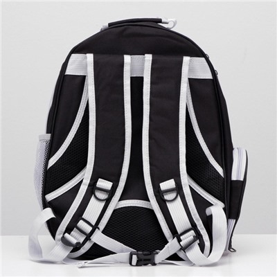 Рюкзак для переноски животных, 31×28×42 см, прозрачный, чёрный