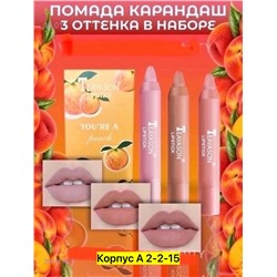 НАБОР 2051118-1