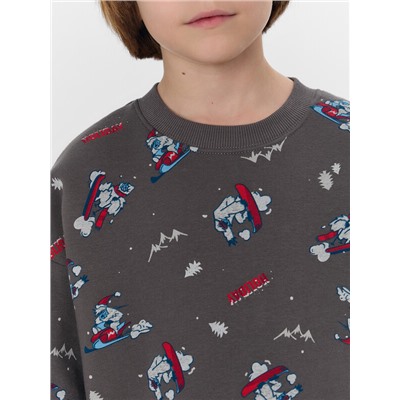 СВИТШОТ ДЛЯ МАЛЬЧИКОВ 123437/1