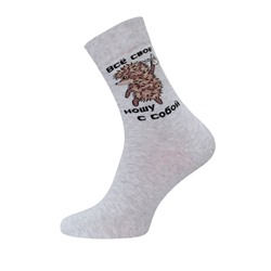 Классические БРЕСТСКИЕ НОСКИ МУЖСКИЕ 2155 СМФ "Ежик в тумане"