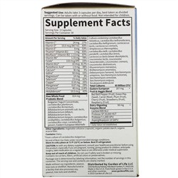 Garden of Life, RAW Probiotics, Men 50 & Wiser, 85 Billion Live Cultures, 90 Vegetarian Capsules