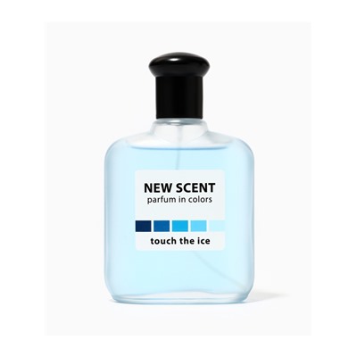 Туалетная вода мужская New Scent Touch The Ice, 100 мл