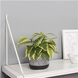 Искусственный цветок в горшке «Хоста галант пёстрая», 9×20 см, зелёный