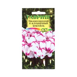 Семена цветов Цикламен Клубничный коктейль, персидский, ароматный * 3 шт.