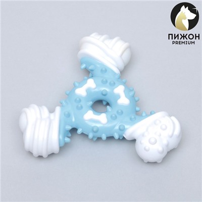 Игрушка для собак «Кость-треугольник», 12 см, двухслойная, твёрдый и мягкий пластик, 12 см, голубая