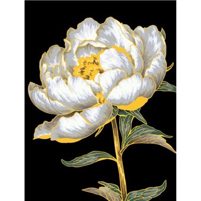 Картина по номерам с краской-металлик 30х40 см "Золотой пион" живопись с красками и кистью эффект черного холста PNB/PMB-307 ФРЕЯ