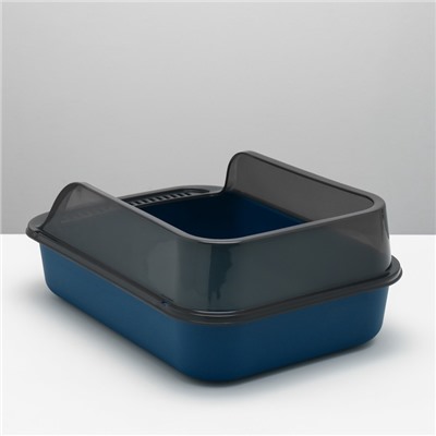 Туалет с прозрачными бортами с совком и фильтром, 40×28×16 см, синий