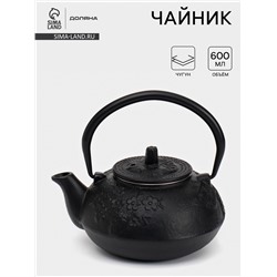 Чайник для плиты, 600 мл, с ситом, чугун, эмалированное покрытие внутри, чёрный