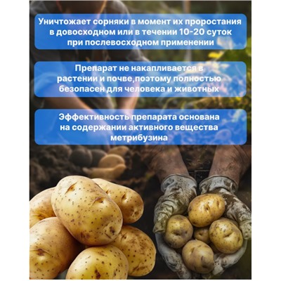 Лазурит от сорняков на картофеле, 20 гр 1 шт