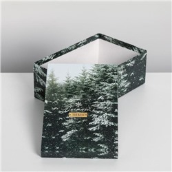 Набор подарочных коробок 6 в 1 «Снежной зимы», 32.5×20×12.5 - 20×12.5×7.5 см, Новый год