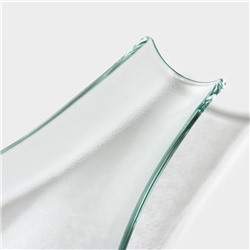 Блюдо сервировочное Magistro «Авис», 32.5×10×3.8 см, стекло, прозрачное