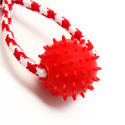 Игрушка канатная «Узел с массажным шариком», до 31 см, до 65 г, микс цветов