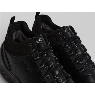 Зимние Ботинки Ecco