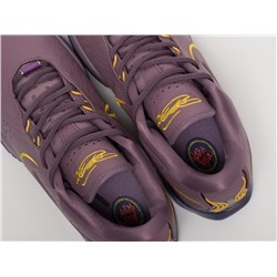 Кроссовки Nike Lebron XXI