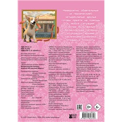 АСТ . "Великолепная пятерка. Альбом 100 наклеек (Марго)"