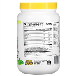 Natural Factors, Raw Organic 100% Plant-Based Protein, Natural Unflavored, 0.9 lb (417 g)