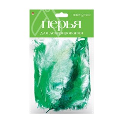 Перья для декорирования МЕГАМИКС, 6 ВИДОВ, НАБОР №3 2-405/02 Альт