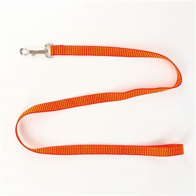 Комплект амуниции рельефный, 2 см, поводок 120 см, красно-жёлтый