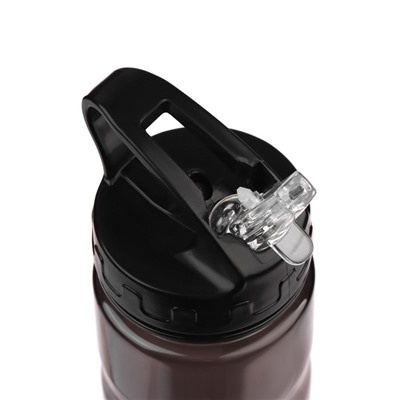 Бутылка для воды «Мастер К», 550 мл, коричневая