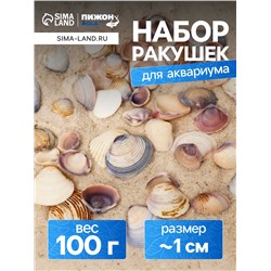 Набор ракушек Rose petal tellin, 100 г