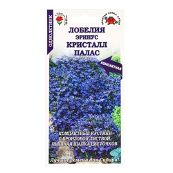 Семена Лобелия «Эринус Кристалл Палас», 0.05 г, «Золотая Сотка Алтая»