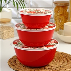 Набор мисок с крышкой Idiland «Гранат», 3 шт.: 1 л, 2 л, 3 л, пластик, красный